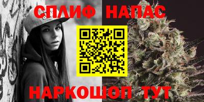СК Нальчик